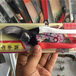 金蘋果手剪 ，整枝剪