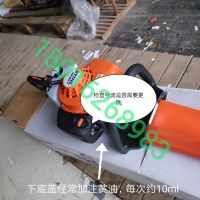 上海浦東，綠化割草，修剪旺季，注意綠籬機，草坪機，割灌機 日常保養(yǎng)